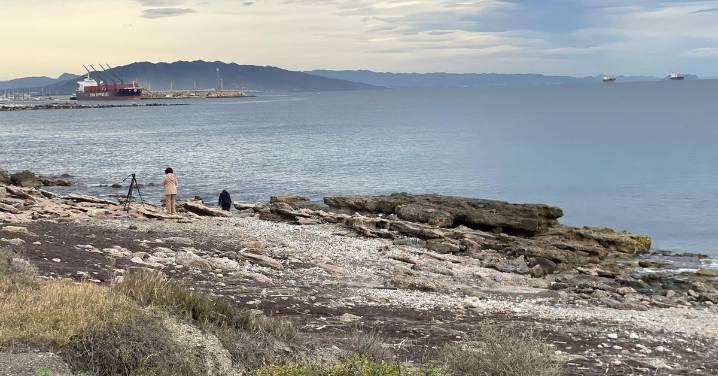 La pareja de la madre de Lucca violó y golpeó hasta la muerte al niño mientras ella miraba