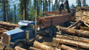Idaho partners with US Forest Service with goal to double timber sales