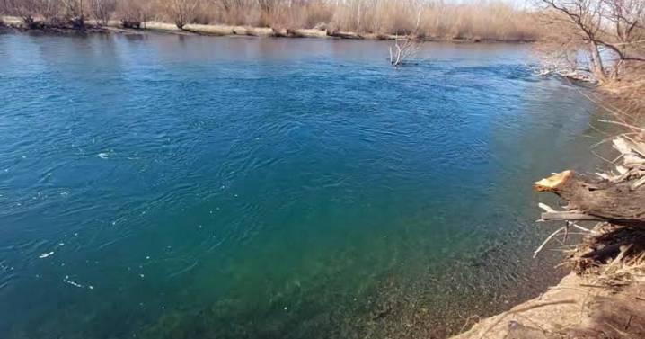 Un adolescente fue arrastrado por el río en Centenario: los rastrillajes se dan en una zona de difícil acceso