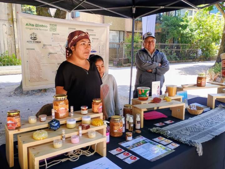 Artistas y oficios creativos se tomaron Diagonal Perú con tercera versión de la Expo "De Mar a Cordillera"