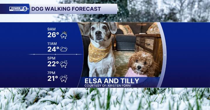 A snowy and cold Saturday Dog Walking Forecast