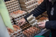 Los huevos, el café y la carne de vacuno disparan sus precios