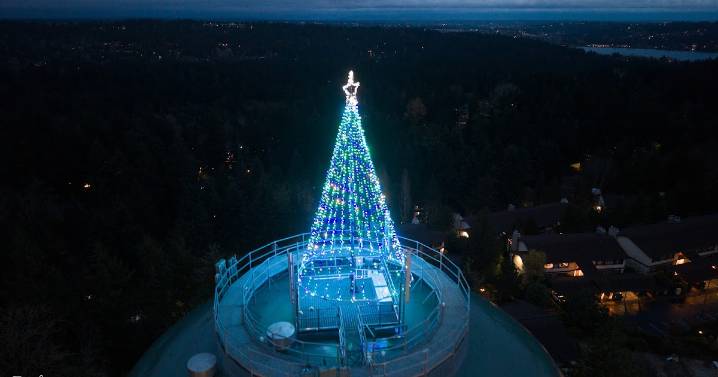 The North City Christmas Tree shines brightly