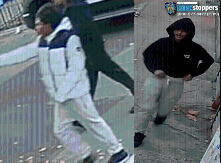 Tremont: Youth Sought for Reckless Endangerment Incident on Webster Avenue