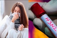 Gripe H3N2: cuáles son los síntomas de la variante que preocupa en Europa y podría llegar a Argentina