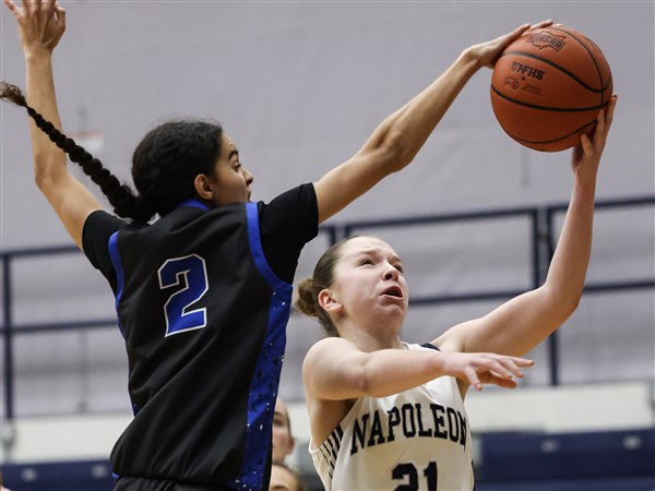 Photo Gallery: Anthony Wayne vs. Napoleon girls basketball