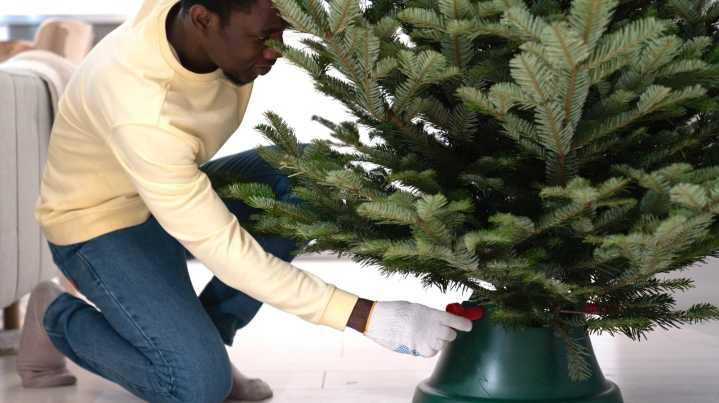 Where To Avoid Placing Your Live Christmas Tree At All Costs (& Where To Put It Instead)