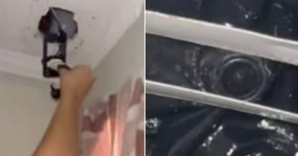 Era la casa de Gran Hermano: inquilina encontró algo terrible en su departamento