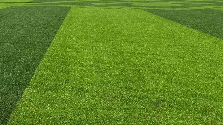 Brighton turf plan sparks neighborhood pushback