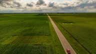 Iowa farmland values show resilience despite downturn in ag economy