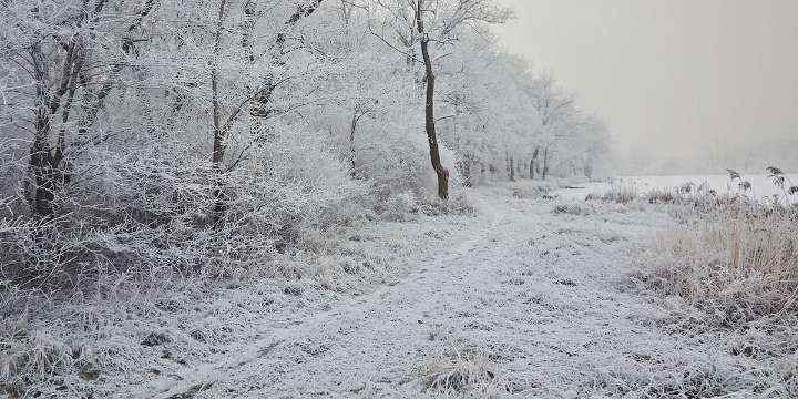 New York State Parks waive parking fees for New Year’s Day Hiking events