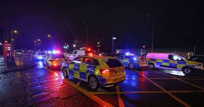 'Heartbreak' as pensioner, 81, killed in hit-and-run as police launch manhunt