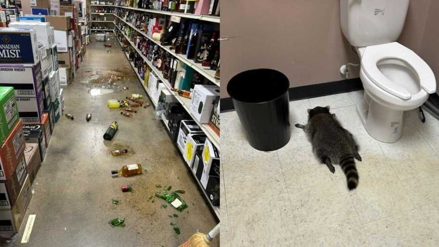 Furry 'suspect' ransacks Hanover ABC store, found passed out in bathroom