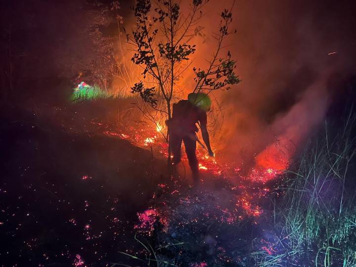 Incendio en un pinar de Panambí: Bomberos evitaron que el fuego avance y arrase la zona