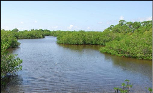 Nominations being sought for the last land buys as Conservation Charlotte funding dwindles