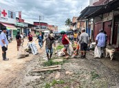 Eliminan más de 16 toneladas de criaderos del Aedes aegypti en Rioja