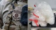 CBP decomisa 7 libras de metanfetamina en Delaware, estaba escondida en paquete que sería enviado a Países Bajos
