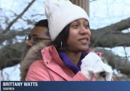 Warren woman claims hospital, police department distorted law in defense of miscarriage arrest