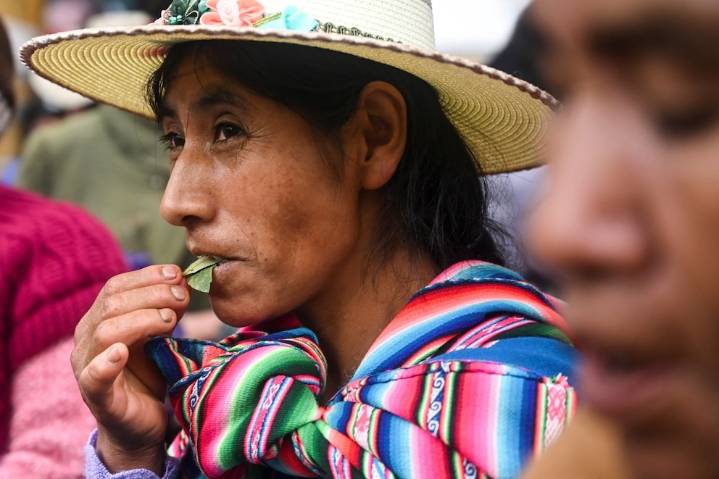 La OMS rechazó el pedido de Bolivia y mantiene la hoja de coca como una sustancia “peligrosa”