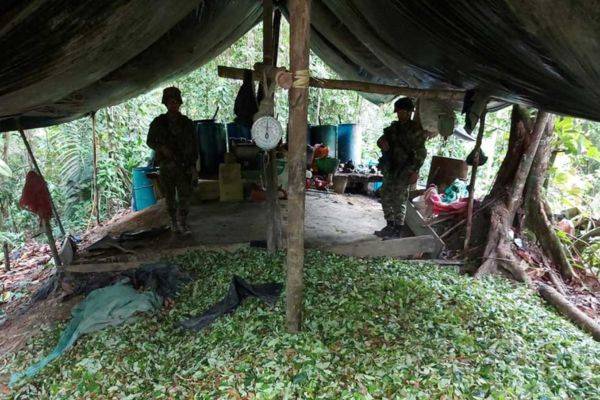 MinDefensa confirmó que las autoridades incautaron cerca de 5 toneladas de cocaína en Nariño