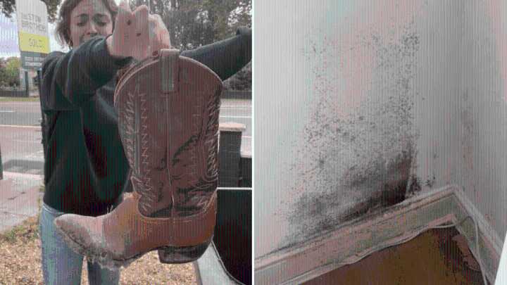 My £1,600- a-month flat was covered in mould, but my landlord did nothing