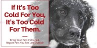 Beaufort Animal Services warns of keeping pets outside in cold weather