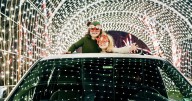 Four million lights brighten Shady Brook Farm for the holidays