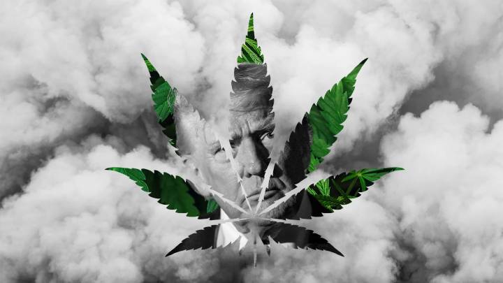 Cannabis stocks surge on Trump’s rumored Schedule 3 marijuana change. How high can pot shares get?