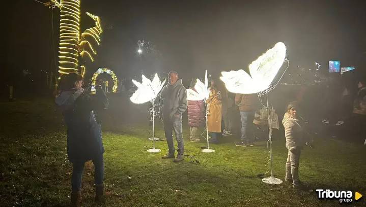 Santa Marta y su Isla brillan con luz propia para llenar las calles con la magia de la Navidad