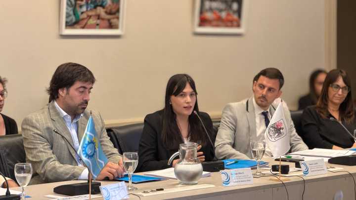 La Ciudad participó de la XVI Asamblea General Ordinaria del Consejo Federal para la Transparencia