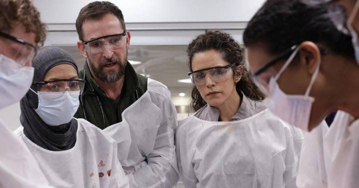 ‘Stranger Things,’ ‘The Pitt’ and other most anticipated winter shows