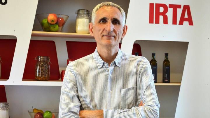 Josep Usall, el hombre que tiene todas las respuestas del laboratorio del que pudo escapar la peste porcina, según Agricultura