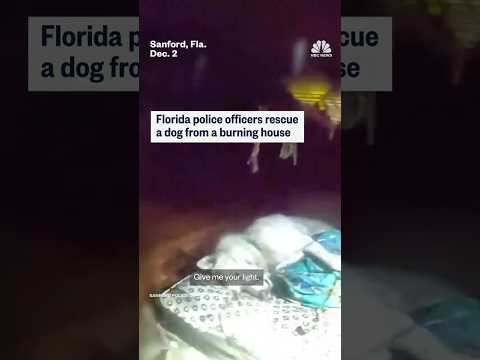 Florida police officers rescue dog from burning home