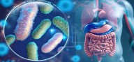 Descubren nueva variante de un virus responsable en aumentar brotes de gastroenteritis
