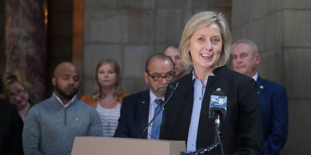 Lynne Walz announces statewide listening tour