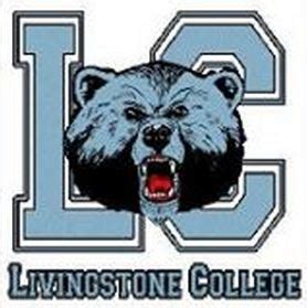 College women’s basketball: Strong road effort by Blue Bears in loss