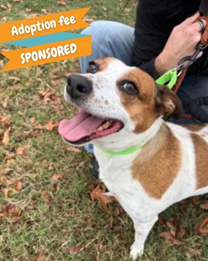 Meet Polly Sue from SWH