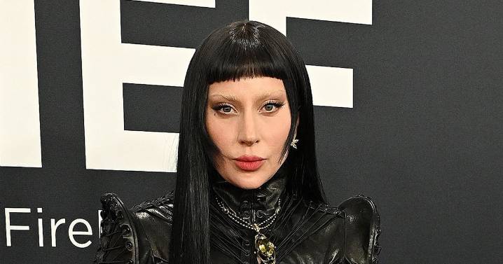 Fan from Ariana Grande Wicked Incident Banned at Lady Gaga Concert