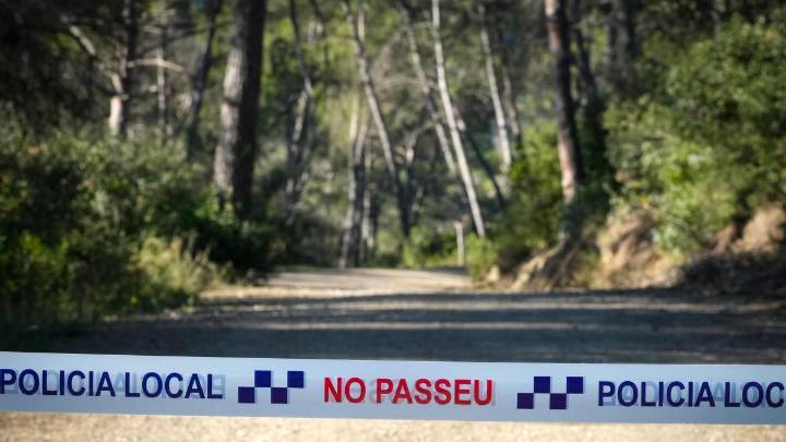 El origen del brote de peste porcina pudo ser un bocadillo