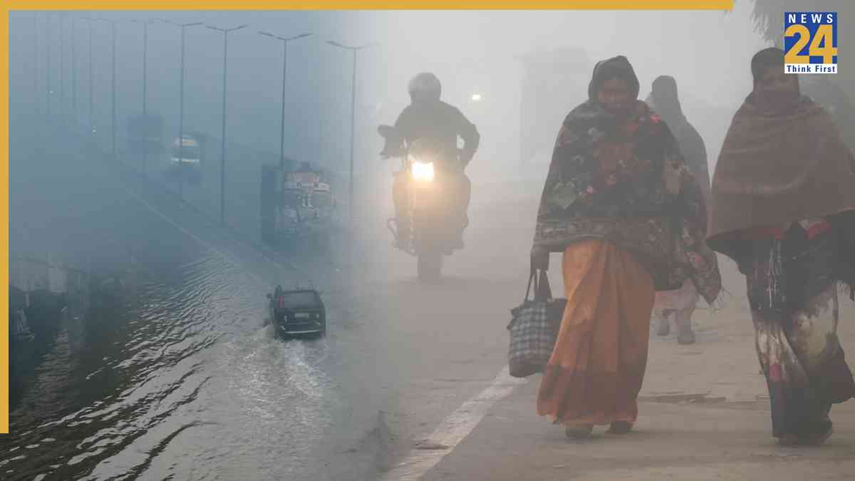IMD Weather Update: Rain to lash Tamil Nadu, J&K; Cold wave alert issued for THESE states
