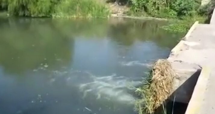 Río Los Perros de Juchitán, #Oaxaca, sigue contaminado dos años después, pese a sentencia federal y omisiones oficiales
