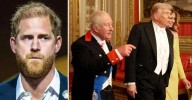 Prince Harry's 'Reckless' Dig at Donald Trump Is a 'Slap in the Face' to Royal Family After They Welcomed President for State Visit