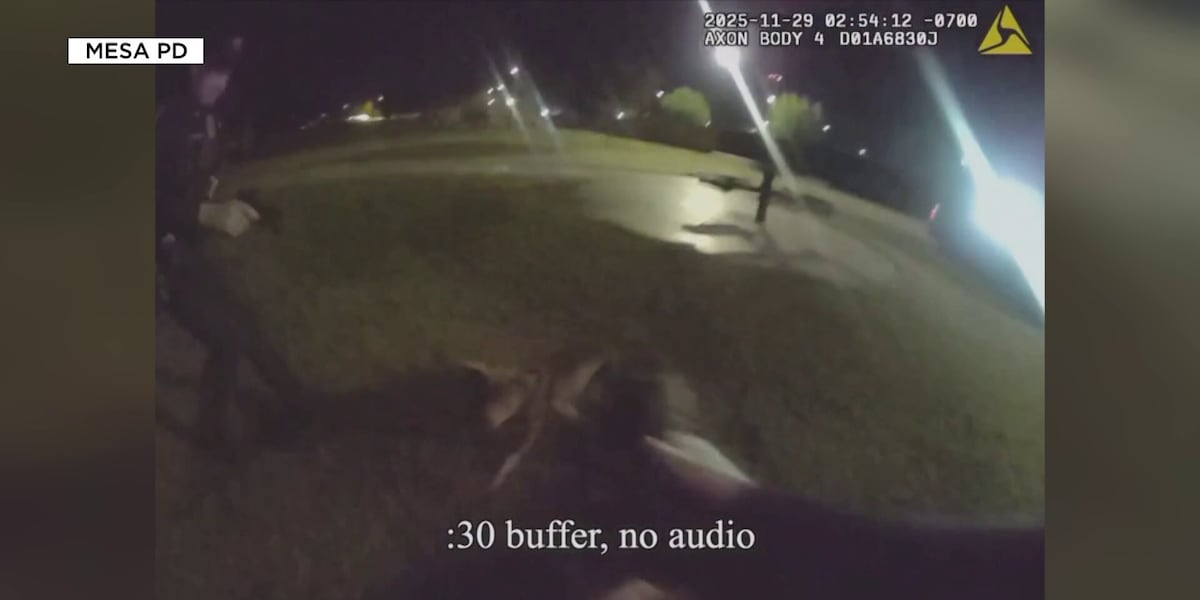 Mesa police defend officer shooting unleashed dog, release bodycam video