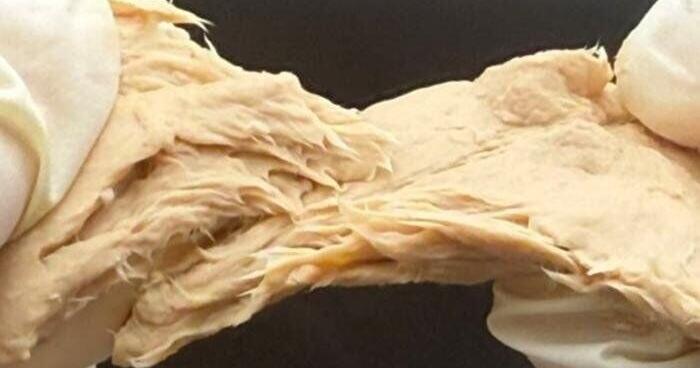 ‘Easy to digest’ fungi genetically engineered to be packed with protein