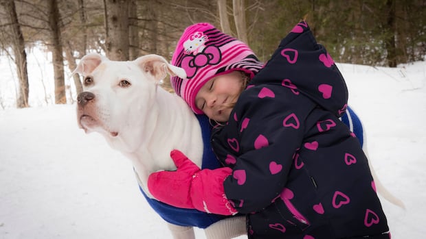 The loss of a pet can be devastating. This new website by the Ontario Vet College aims to help