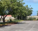 Piden desmalezar el estacionamiento de El Ceibo