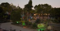 San Diego Botanic Garden lights up the night with Lightscape
