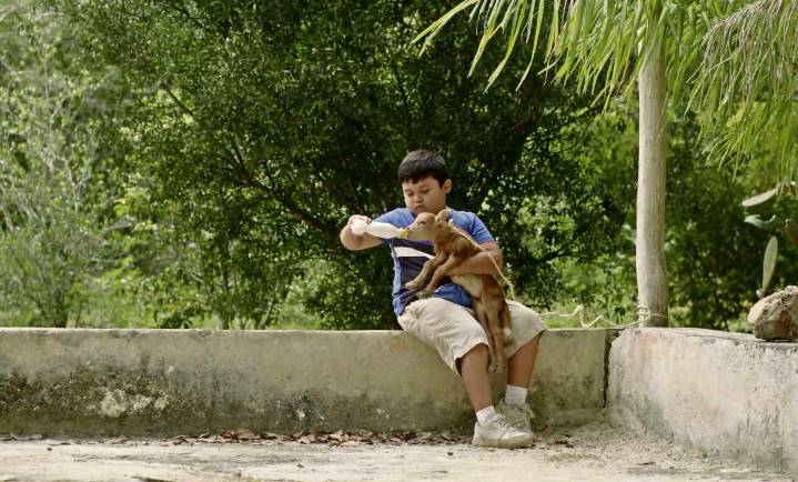 El niño que desea saber qué pasa tras la muerte