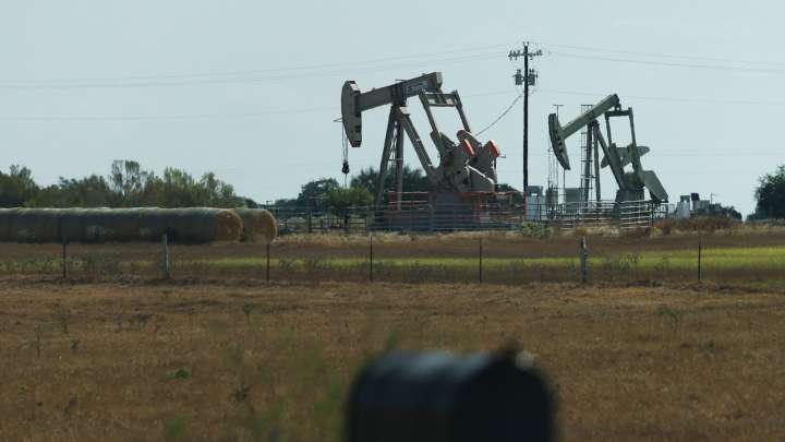 ‘It is their greed and the pollution from their products that hurt consumers’