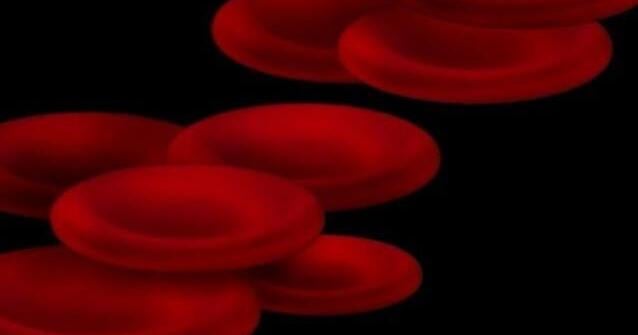 UVA Health finds new link between obesity, high blood pressure